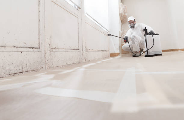 24/7 Emergency Mold Removal experts in Dublin, TX